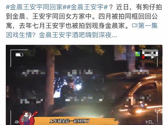 金晨与王安宇同框